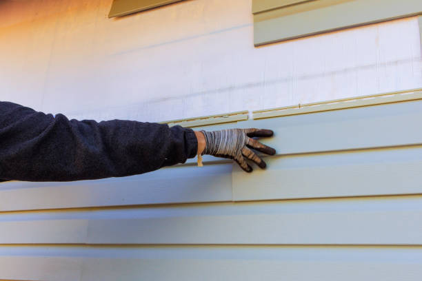 Best Fascia and Soffit Installation  in Mount Carroll, IL